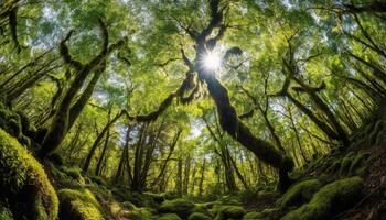 still Szene von beschwingt Natur Schönheit generiert durch ai foto