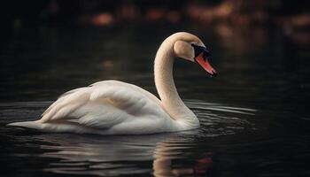 majestätisch Schwan spiegelt natürlich Schönheit im still Teich generiert durch ai foto