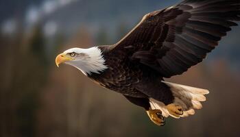 majestätisch kahl Adler Spreads Flügel im Mitte Luft generiert durch ai foto