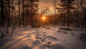 still Winter Wald, Schnee bedeckt Fußweg, Sonnenlicht durch eisig Bäume generiert durch ai foto