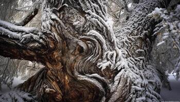 Winter Wald Schnee bedeckt Kiefer Bäume erstellen still Schönheit im Natur generiert durch ai foto