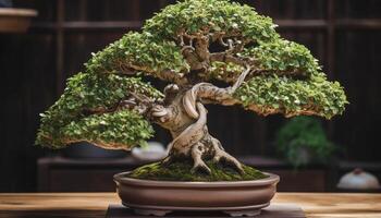 japanisch Keramik dekoriert still Zuhause Innere mit eingetopft Pflanzen generiert durch ai foto