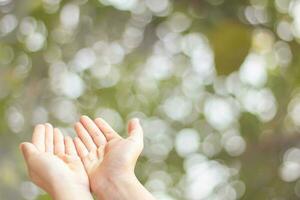 Nahansicht von Kind öffnen zwei leeren Hände mit Palmen oben zum beten zu Gott und Segen auf Grün verwischen Hintergrund foto