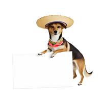 bezaubernd Haustier Hund mit cinco de Mayo Tag Mode halten rechteckig leer Frame.ai generiert foto