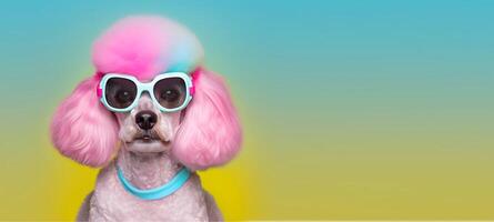 modisch Pudel Haustier Hund tragen sonnenbrille.ai generiert foto