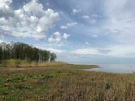 malerisch Frühling Landschaft, Blumen durch das See Hain, Horizont, schön wolkig Himmel foto