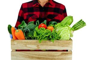 Gärtner Gemüse halt im hölzern Kiste Rettich, Tomate, Karotte, Chinesisch Kohl, Brokkoli, bitter Kürbis, Chinesisch Grünkohl auf ein Weiß Hintergrund foto
