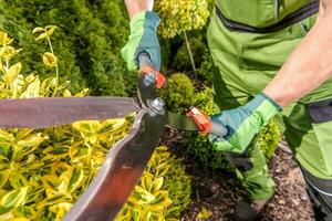 Hecke Schere mit wellig Klingen foto