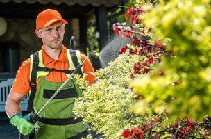 Fachmann kaukasisch Gärtner Insektizid Garten Bäume foto