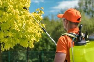 Garten Bäume Düngung foto