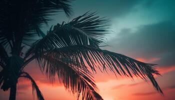 idyllisch Karibik Landschaft Palme Bäume, Sand, und still Seelandschaft generiert durch ai foto