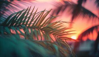 tropisch Palme Baum Silhouetten gegen beschwingt Sonnenuntergang Himmel Hintergrund generiert durch ai foto