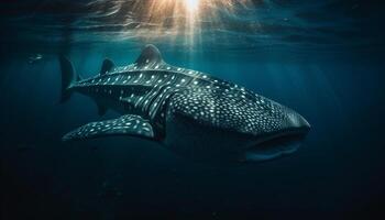majestätisch Schildkröte Schwimmen im still Blau Wasser von tropisch Riff generiert durch ai foto