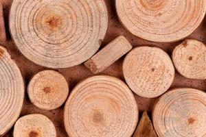 Nahaufnahme von Holzstämmen Holz in Abschnitte geschnitten
