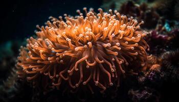 beschwingt unter Wasser Seelandschaft Vitrinen natürlich Schönheit von multi farbig Koralle Riff generiert durch ai foto