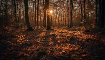 Herbst Wald leuchtet mit beschwingt Farben im von hinten beleuchtet Sonnenuntergang Szene generativ ai foto