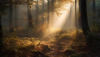 beschwingt Herbst Laub schafft ein gespenstisch, mysteriös Wald Landschaft generativ ai foto