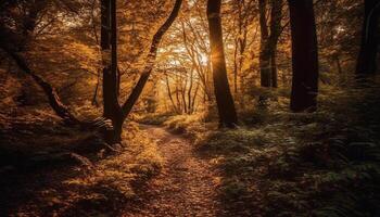 ein beschwingt Herbst Wald, ein still Wandern Abenteuer wartet generiert durch ai foto