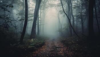 gespenstisch Wald Weg, mysteriös Schönheit im Natur, still Wildnis Szene generiert durch ai foto