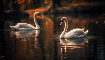 stumm Schwäne schwimmen anmutig im still Teich, reflektieren natürlich Schönheit generiert durch ai foto