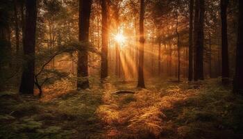 beschwingt Herbst Laub leuchtet still Wald im von hinten beleuchtet Sonnenuntergang Szene generiert durch ai foto