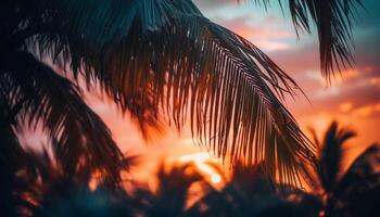 idyllisch tropisch Sonnenuntergang, Palme Baum Silhouette gegen beschwingt Orange Himmel generiert durch ai foto