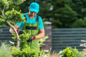 Garten Instandhaltung durchgeführt durch Profi Gärtner foto