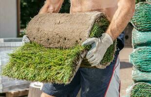 kaukasisch Männer ziehen um Rollen von Natur Gras Rasen foto