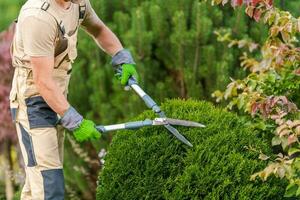 Beschneidung Pflanzen mit Garten Schere foto