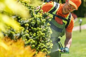 Männer düngen Innerhalb Garten foto