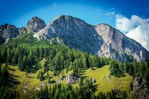 Sommer- im Dolomiten Landschaft foto