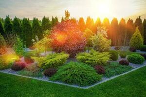 dekorativ Steingarten Garten foto