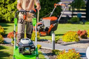 Mann Arbeiten auf das Garten foto