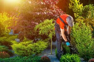 Gärtner Garten funktioniert foto