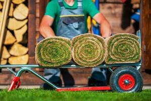 Gras Rasen gerollt auf ein Wagen foto