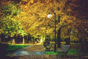 Herbst Laub im Park foto