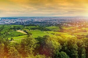 Wien Weinberge und Stadtbild foto