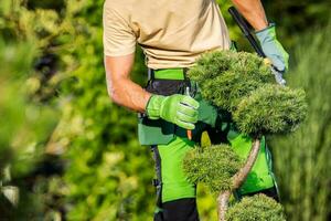 Garten Pflanzen saisonal Pflege und Instandhaltung foto