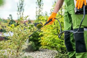 Gärtner geplant Frühling Zeit Insektizid und Fungizid Job foto