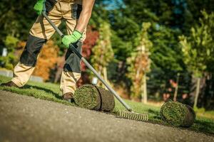 Gartenarbeit Unternehmen Arbeiter Installation frisch natürlich Gras foto