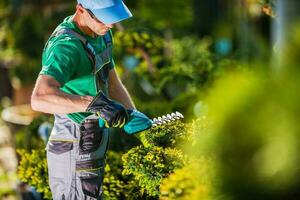 Frühling Pflanzen Trimmen Arbeit foto