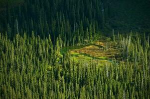 Montana Wald und Seen foto