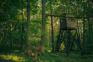 Überwachung Jagd Turm im Wald. foto