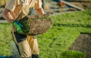 Installation von natürlich Gras Rasen Rollen. foto