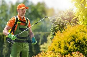 Garten Pflanzen Insektizid foto