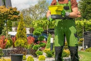 Gras Düngung durchgeführt durch Fachmann Gärtner foto