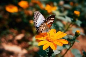 Schmetterling auf Blume ai generativ foto