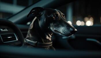 süß Terrier Hündchen Sitzung im Auto Fenster generiert durch ai foto