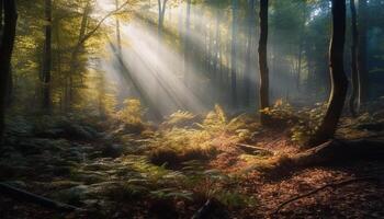 still Szene von Herbst Wald, Geheimnis im nicht städtisch Wildnis generiert durch ai foto