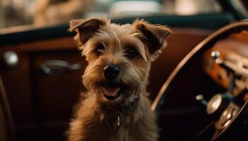 süß reinrassig Terrier Hündchen Sitzung im Auto generiert durch ai foto